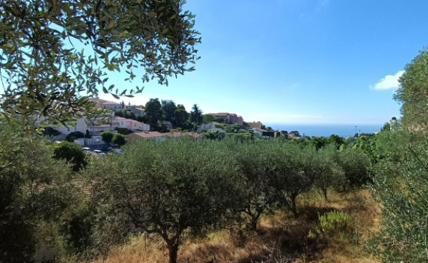 Offres de vente Terrain Nice 06200